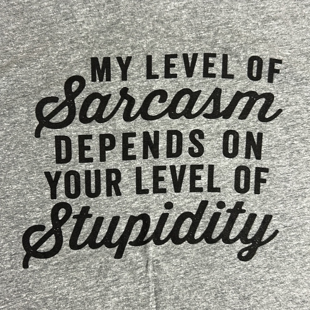 Men’s Gray Graphic T-Shirt | Size Large | Sarcastic Quote Tee - Picture 3 of 4